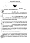 Vista preliminar de documento RDR 0377-2025