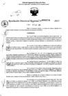 Vista preliminar de documento RDR 0379-2025