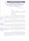 Vista preliminar de documento RDR 110-2025