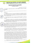 Vista preliminar de documento R A N°040-2025-MDPB