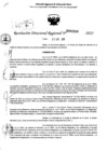 Vista preliminar de documento RDR 0380-2025