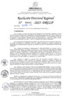 Vista preliminar de documento RDR N° 000002-2025-DRELP