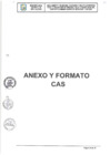 Vista preliminar de documento CAS 2025 - ANEXOS