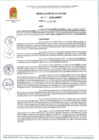 Vista preliminar de documento R A 38-2025-A-MDT