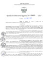 Vista preliminar de documento RDR N° 000003-2025-DRELP