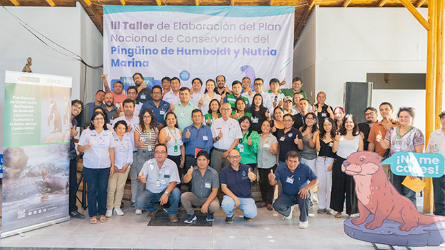 Con éxito se desarrolló la apertura del III Taller para la elaboración del plan nacional de conservación del Pingüino de Humboldt y la Nutria Marina