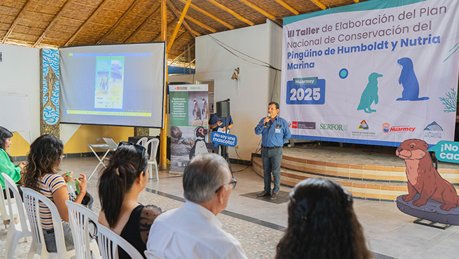 Con éxito se desarrolló la apertura del III Taller para la elaboración del plan nacional de conservación del Pingüino de Humboldt y la Nutria Marina