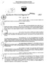 Vista preliminar de documento RDR 0381-2025