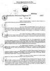 Vista preliminar de documento RDR 0383-2025