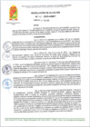 Vista preliminar de documento R A 42-2025-A-MDT