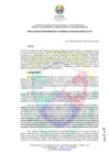 Vista preliminar de documento RVPA_N_089-2025-UNDC
