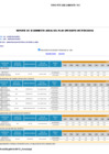 Vista preliminar de documento Reporte de Seguimiento POI - Anual 2024