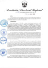 Vista preliminar de documento RDR-176-2025
