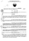 Vista preliminar de documento RDR 0385-2025