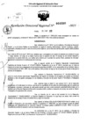Vista preliminar de documento RDR 0386-2025