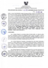 Vista preliminar de documento RDR N°217-2025-26-03-2025