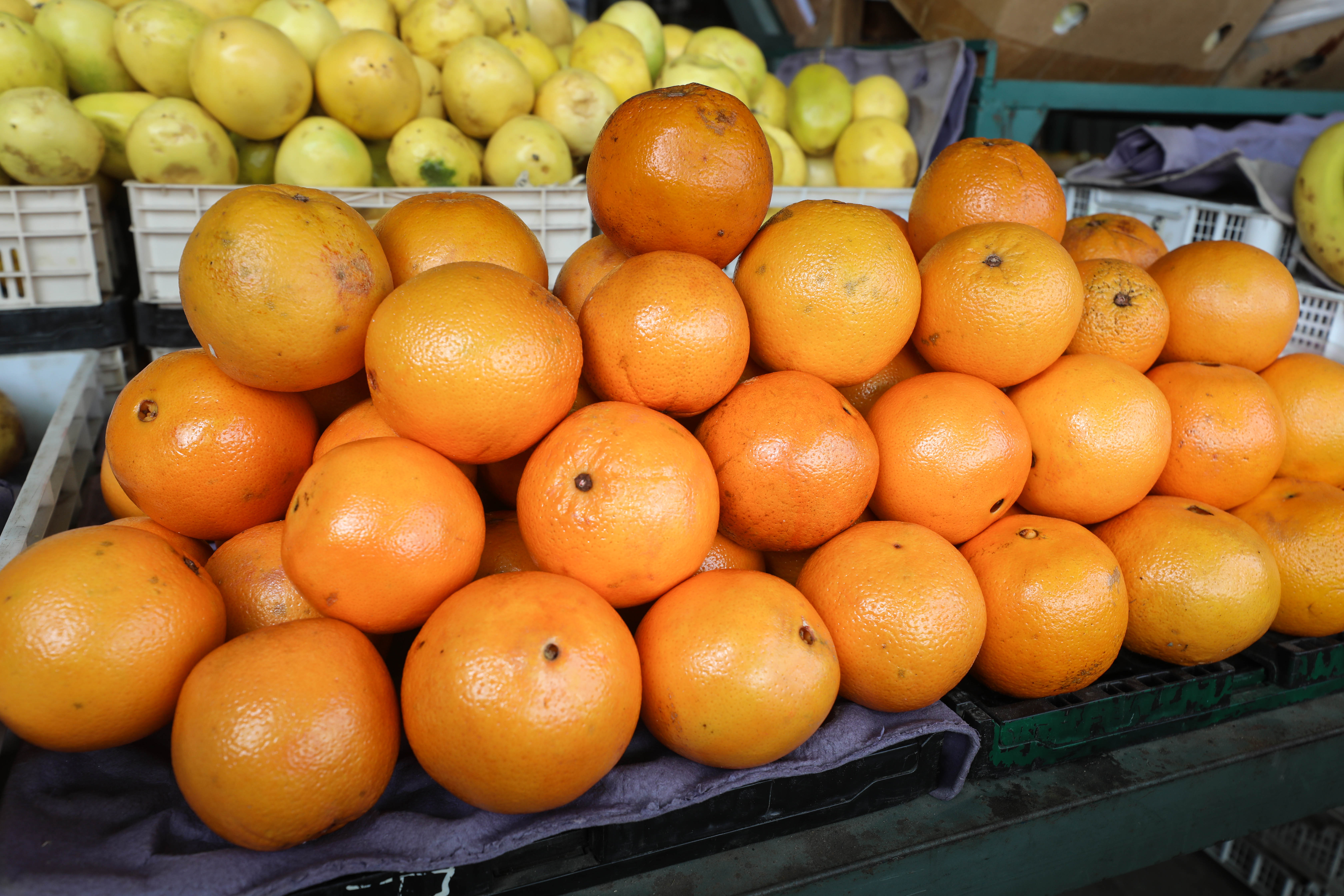 Hoy en los mercados mayoristas hay ofertas en arveja, choclo, vainita, naranja, tuna, palta y otros
