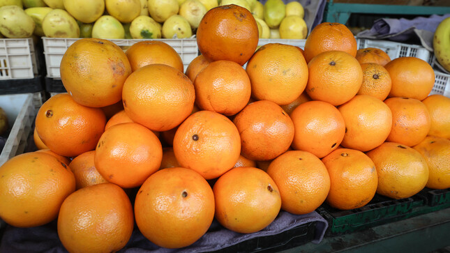 Hoy en los mercados mayoristas hay ofertas en arveja, choclo, vainita, naranja, tuna, palta y otros