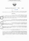Vista preliminar de documento RD N° 641-2025