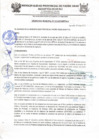 Vista preliminar de documento ORDENANZA MUNICIPAL N015-2019-MPPA-A