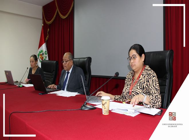 Corte Superior de Justicia de Lima Sur realizó con éxito el proceso CAS N.º 002-2025