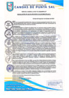 Vista preliminar de documento RESOLUCION DE ALCALDIA N° 552-10-2023-MDCPS-ALC