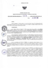 Vista preliminar de documento RDR N°219-2025-26-03-2025