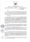 Vista preliminar de documento RDR N°220-2025-26-03-2025