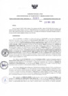 Vista preliminar de documento RDR N°221-2025-26-03-2025
