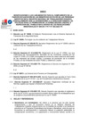 Vista preliminar de documento ANEXO INFORME DE LINEAMIENTOS VF 25.03.2025 VF....