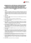 Vista preliminar de documento LINEAMIENTOS VF 25.03.2025