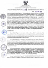 Vista preliminar de documento RDR N°223-2025-26-03-2025