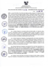 Vista preliminar de documento RDR N°224-2025-26-03-2025
