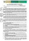 Vista preliminar de documento RGM-187-2025-GM-MPLC