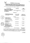 Vista preliminar de documento CRONOGRAMA