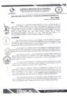 Vista preliminar de documento RDS N 162 AJ