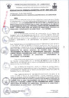 Vista preliminar de documento 091-2025RG
