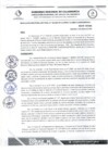Vista preliminar de documento RDS N 166 AJ