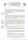 Vista preliminar de documento RESOLUCION N 166