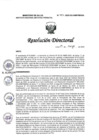 Vista preliminar de documento RD N° 097-2025-DG-INMP/MINSA