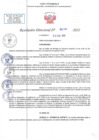 Vista preliminar de documento RD N 00184