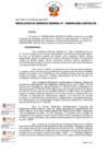 Vista preliminar de documento RESOLUCION DE GERENCIA GENERAL-000042-2025-GG