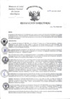 Vista preliminar de documento RD-094-2025-INCN-DG-OP