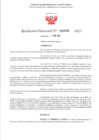 Vista preliminar de documento RD 480-2025 - CONTRA DOC - TINOCO CASIMIRO VICTOR HUGO