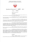Vista preliminar de documento RD 481-2025 - CONTRA DOC - ARANDA DOMINGUEZ YORDANO ERNESTO