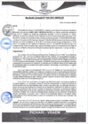 Vista preliminar de documento rgm48