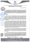 Vista preliminar de documento rgm59