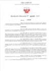 Vista preliminar de documento RD 483-2025 - PROPINA PRONOEI - CACERES CASTILLO EDELINA