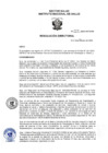 Vista preliminar de documento RD 004-2025-CETS-INS (GPC Estadiaje y Tratamiento del Cáncer de Cuello Uterino en Estadios Tempranos)-