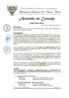 Vista preliminar de documento Acuerdo de Concejo N.° 009-2025-MDSA